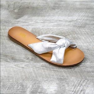 Silver Slides